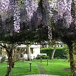 Bracciotti