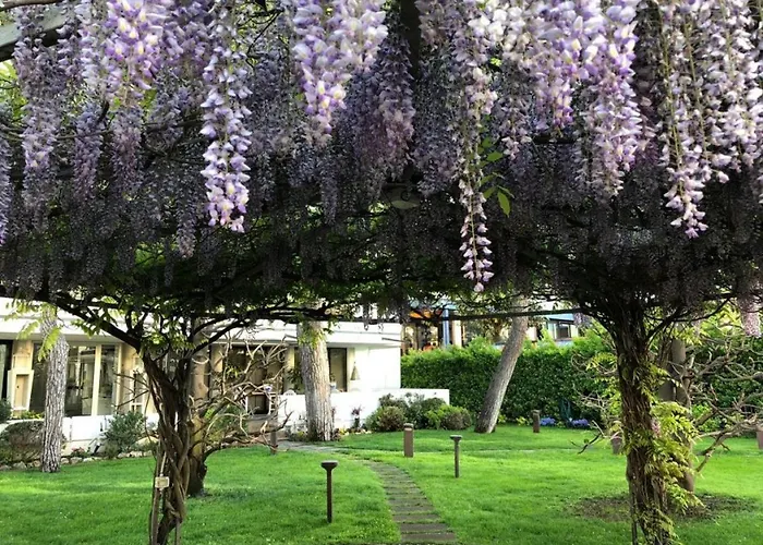 Bracciotti